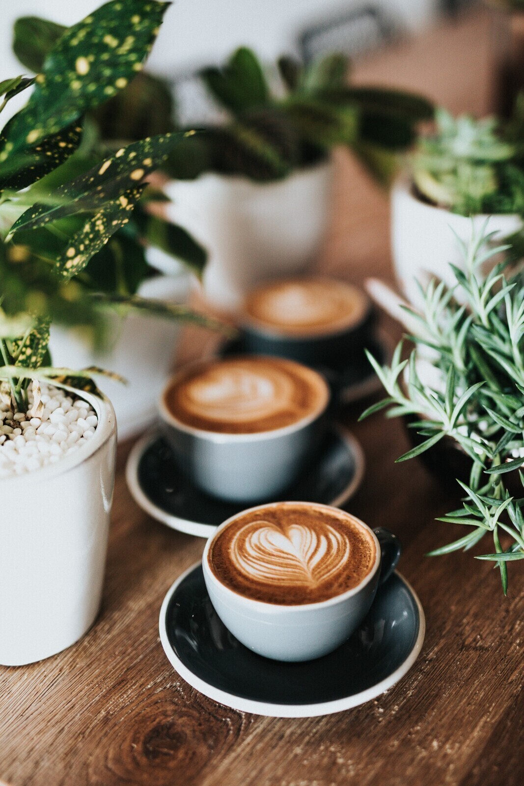 Coffee slides