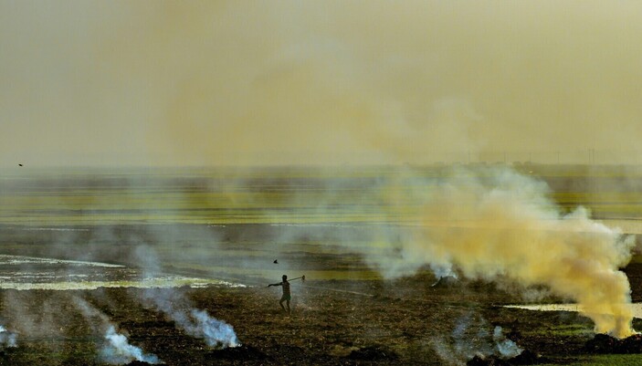 The Smoky Season
