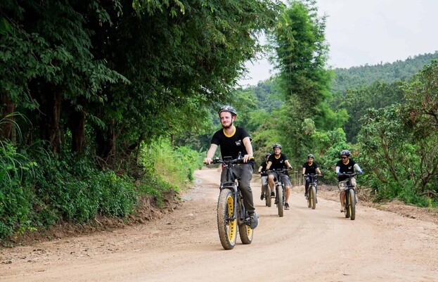 Buzzy Bee Bike tours